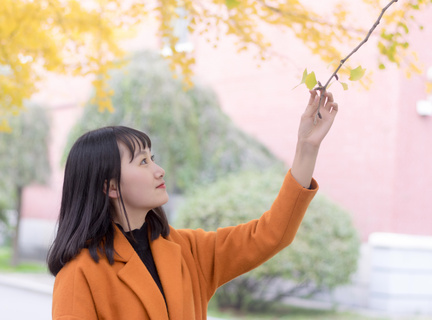 菲律宾达沃水果批发市场(达沃水果攻略)